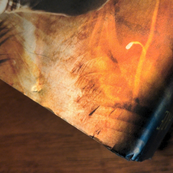 The Mortal Instruments Books 1,2 &3 - Picture 12 of 13